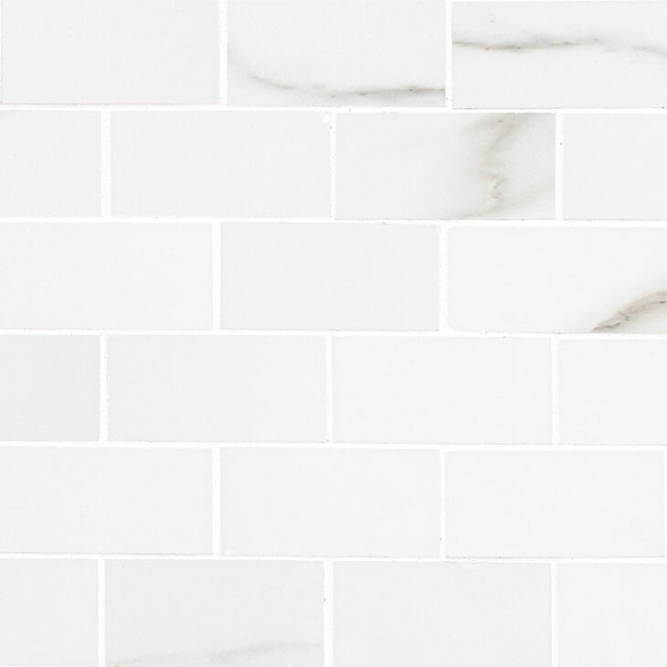 aria bianco 2x4 mosaic polished