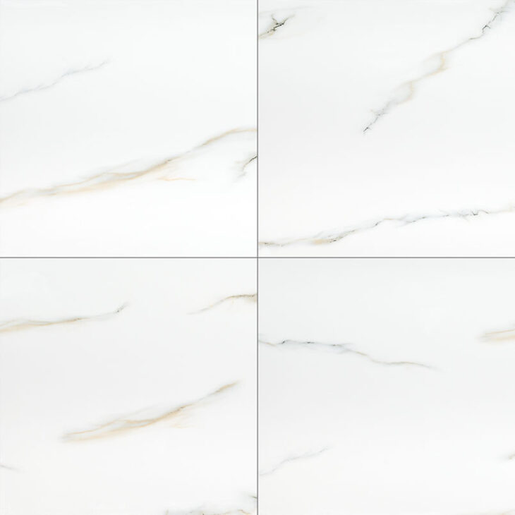 bianco aria porcelain 24x24 polished