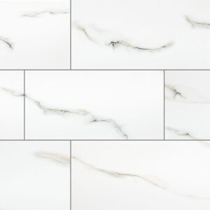 bianco aria porcelain 24x48 polished