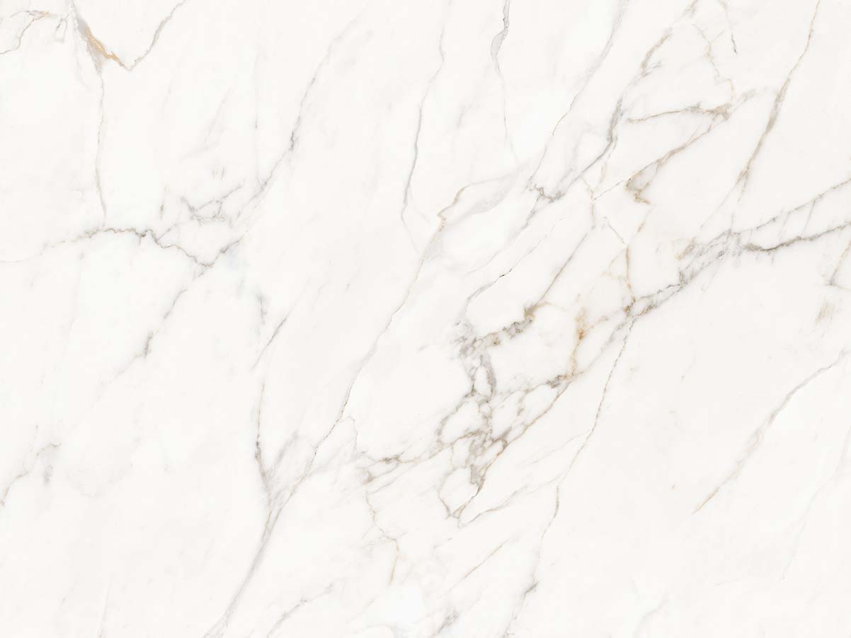 calacatta lucca matte porcelain 1