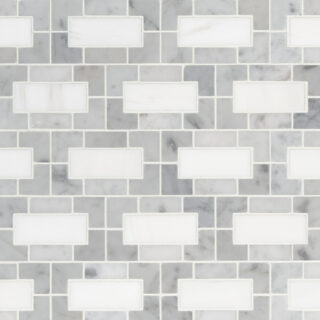 Bianco Dolomite Lynx Polished Marble Tile