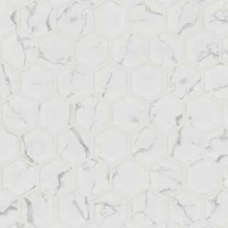 Carrara Matte 2 Hexagon Tile